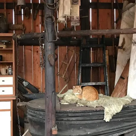 Helena Na Poraci Porac