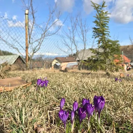 Apartmán Helena Na Poraci