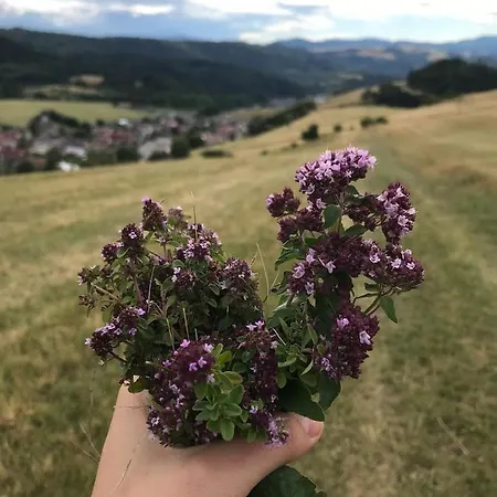 Apartment Helena Na Poraci